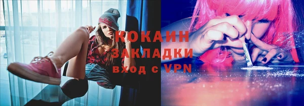 шишки Балахна