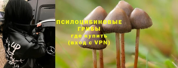 шишки Балахна
